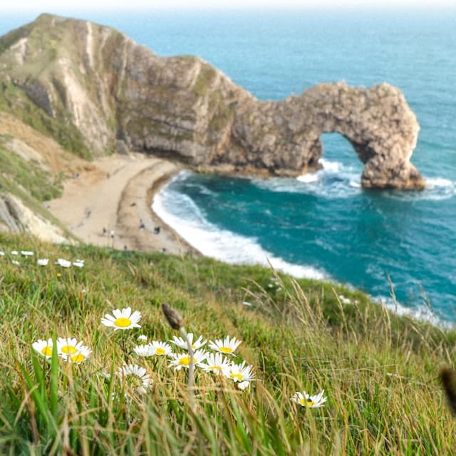 Paysage cotier